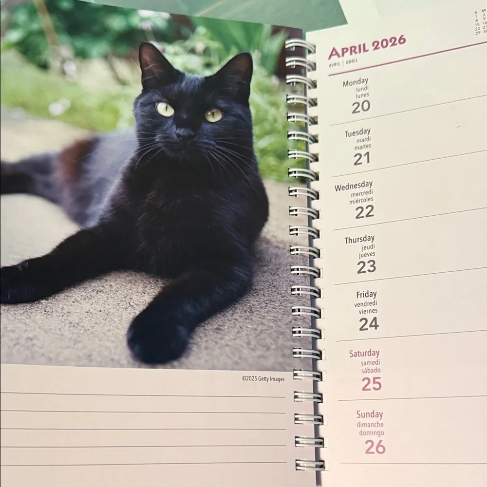 Cat Lovers 2026 Planner BNWT and Mug Set - Blue and White